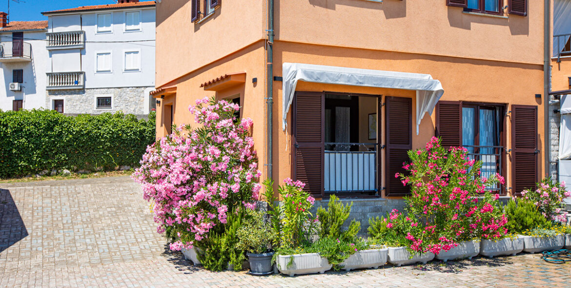 Tepus2_1920px_280626-24