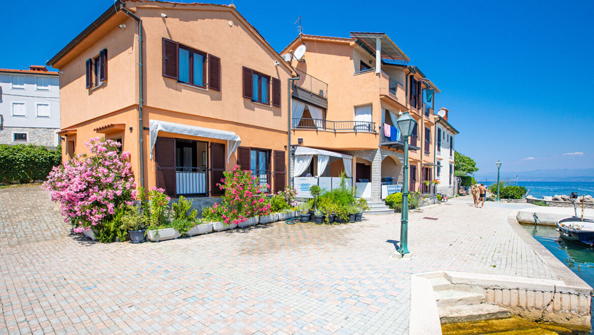 Tepus2_1920px_280626-25